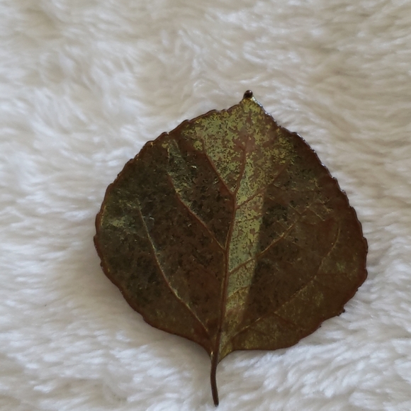 Vintage lot of Fall pins/broach - Picture 6 of 6